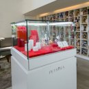 포레스트 펫 이미지