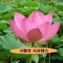 [♥사랑모/리듬댄스] 서울 246스텝, 광주 246잔발의 비교... 이미지