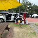 서구청(제2청사) | 공동명의 차량명의이전 서류 남양주제2청사 자동차관리과 방문후기