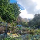 종로-종로-종로-종-223 | # 종로 장어 맛집 완벽 가이드 형이 추천하는 진짜 보양식 8월 20일