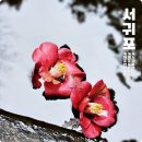 추사 유배길 - 2코스 인연의 길 | 제주도 올레길코스 제주 안덕계곡 상록수림 서귀포 여행코스