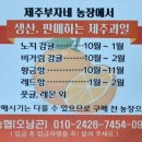 부자네과일