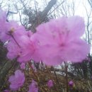 연주농장 이미지