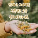 별자리 이미지