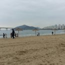 스테이크잡스 이미지