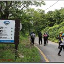 금생농장 | 땅끝기맥5차 (도갑사~밤재)