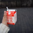 [도쿄여행] Day 2-1. 요요기 공원 - 하라주쿠 이미지