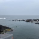 오리들1길 이미지