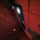 대한극장 1관 이미지