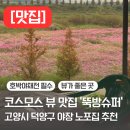 [맛집] 고양시 코스모스뷰 야장 노포집 &#39;뚝방슈퍼&#39; 후기 | 서울 근교 뷰좋은 곳 | 코스모스 명소...