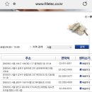 필일렉 이미지