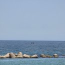 새천년도로 | 🌊 삼척 새천년해안도로 '샛바람길' 산책, 바다 위를 걷는 또 다른 매력
