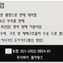 플라윙스