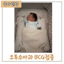 오투소아과