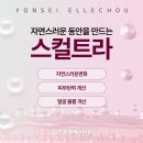 김동준피부과의원 | 대전스컬트라잘하는곳, 궁금하다면 이 글 하나로 정리하세요