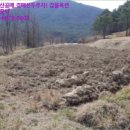 광주동초등학교충효분교장 이미지