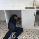 옐로우연화 이미지