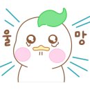 호텔디에디션 이미지