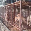 계양산목장 이미지