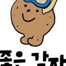 감자프리다이빙