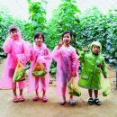 삼시세끼 이미지