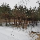 도수초등학교 병설유치원 이미지