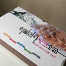 대양쏠트 이미지