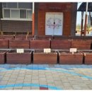 근화초등학교 이미지