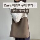 더자라 | 더로우 파크백 맛 자라 가성비 끝판왕 버킷백 구매 후기 🤎