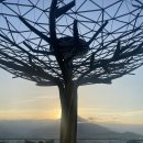 골드호텔 | 나트랑 시내 호텔 레갈리아 골드호텔 후기