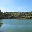 공원동태탕 이미지