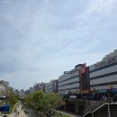 신평화 | 엄마와 서울 나들이_ 동대문시장, 남대문시장 여성복 쇼핑 코스