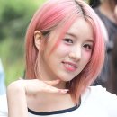 핑크공주 이미지