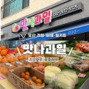 맛나과일
