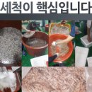소래포구직판