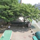 금호3단지 이미지