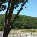 월악초원민박 이미지