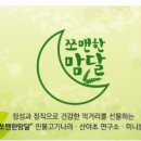 쪼맨한맘달 이미지