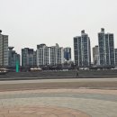 고수부지 이미지