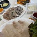 군산수산물종합센터 | 군산수산물종합센터 산오징어 찰광어 회포장 솔직후기 군산수산물시장추천