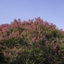 포충사 주차장 이미지