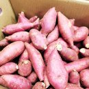 동림농장 이미지