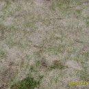 잠실고등학교 이미지