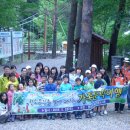 금강송 생태경영림 이미지