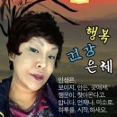 꿈속모텔 이미지