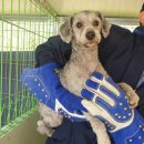 냉천로-1 이미지