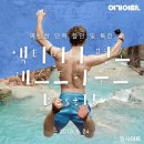 펫 게스트하우스 이미지