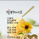 11월15일 월요일 운세~~♡ 이미지