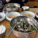 영동올뱅이집 이미지