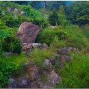 동점마을 암각문 이미지